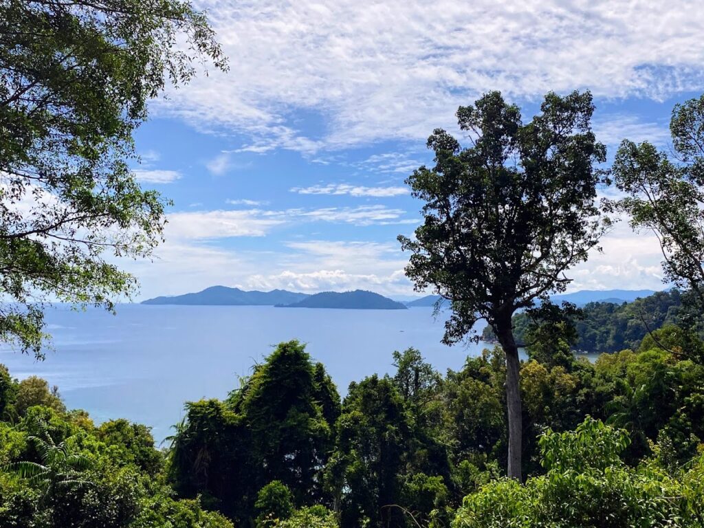 Bunga Raya View Borneo