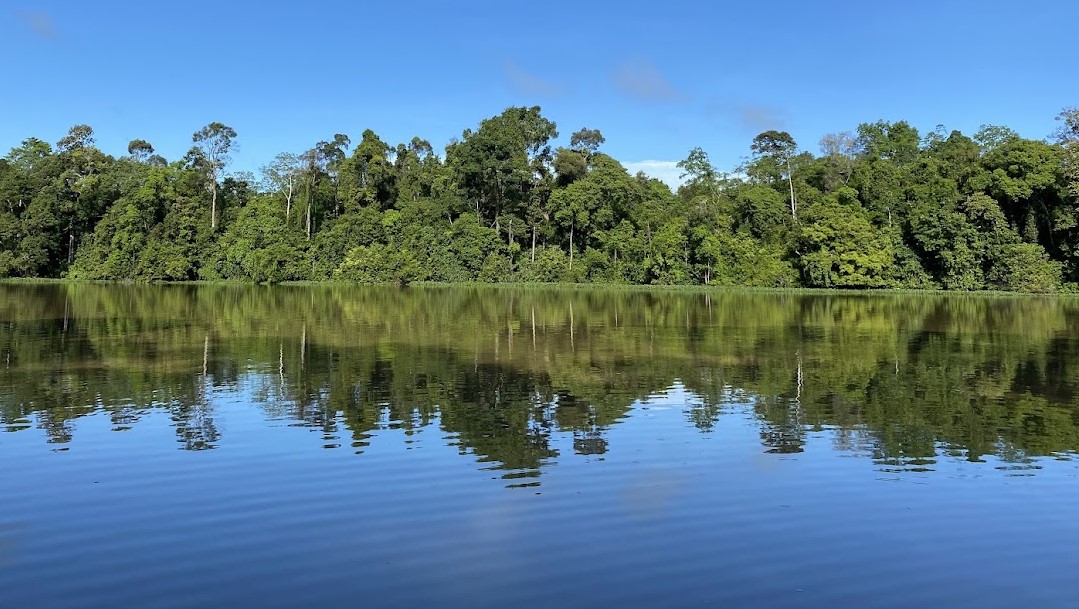 Kinabatangan-River-Sabah-Borneo